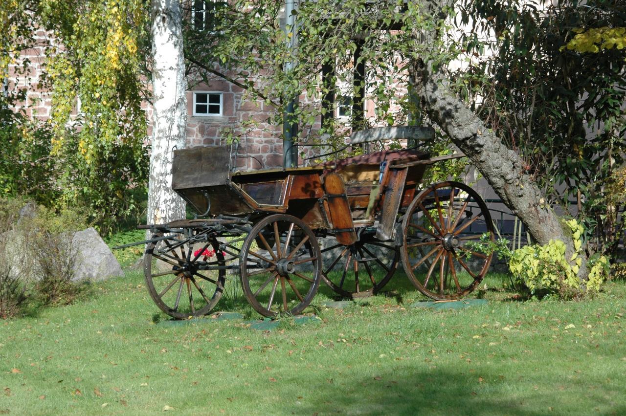 Ferienappartments Kirchhof Sallmannshausen المظهر الخارجي الصورة